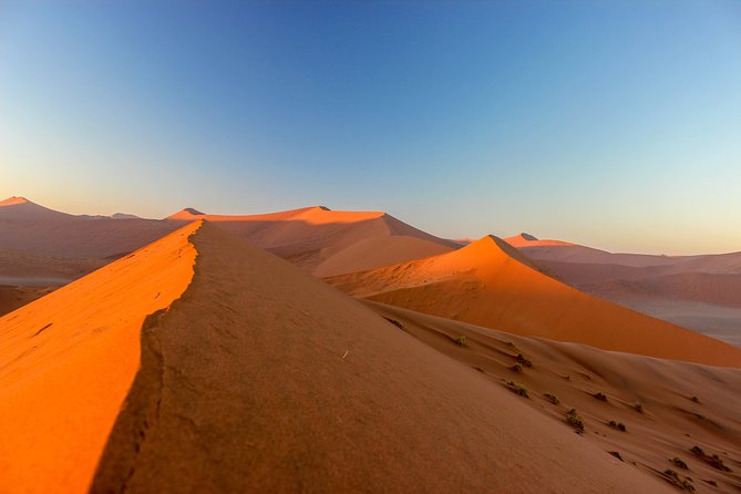 11 Day Namibia Experience Fully Accommodated Tour - Tour Overview