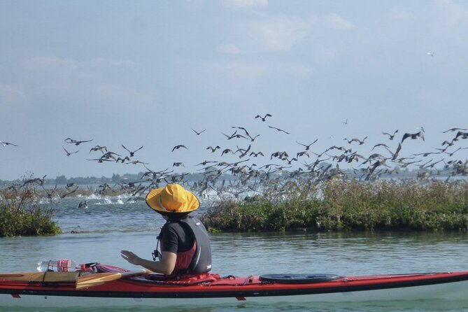 2 Hour Night Kayak Tour in Venice, Premium Experience With Sunset - Discover Venetian Lagoon Secrets