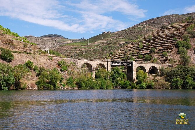 2 Hour Rabelo Boat Tour In Pinhão Overview Of The Rabelo Boat Tour