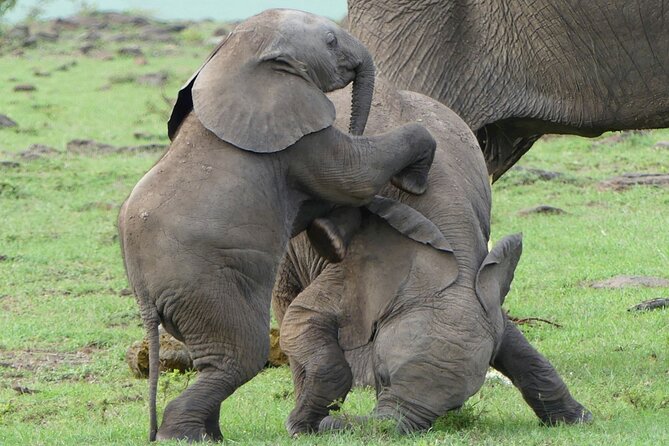 3 Day Private 4x4 Jeep Tour in Masai Mara Safari - Tour Overview