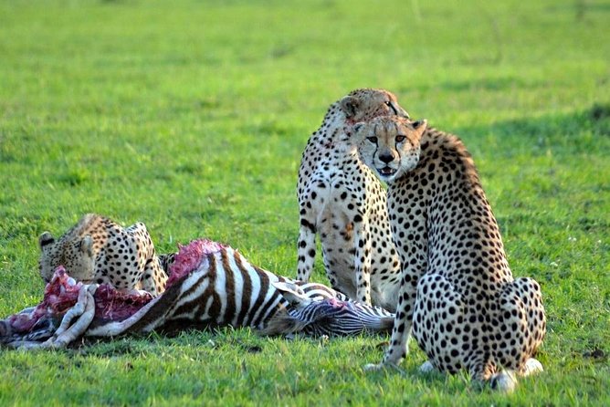 3 Days, 2 Night Amboseli Safari - Inclusions