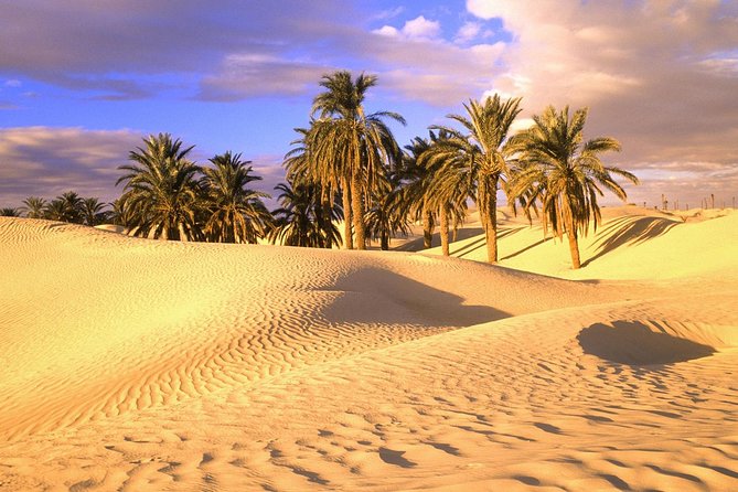 3 Days Desert Tour From Marrakech To Merzouga Desert And World Heritage Kasbah - Included in the Tour