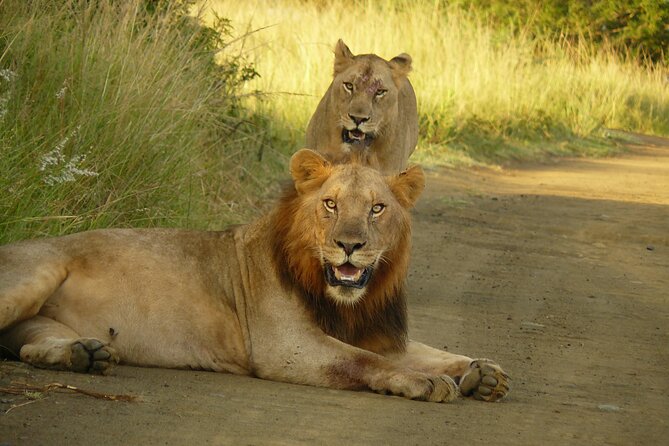 3 Days Durban Safari Tour Package - Durban Safari Tour Highlights