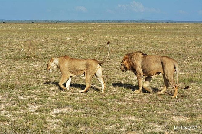 3 Days Safari Tsavo East and Taita Hills (Saltlick Lodge) - Accommodation at Saltlick Lodge