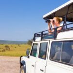 4 Days Private Lodge Safari Tour Overview