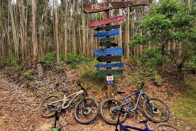 4 Hour Private MTB Enduro Trail Tour in Sintra Mountain - Tour Overview