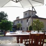 4 Wines & 2 Olive Oils Tasting In Chianti Winery With Tour Tasting Inclusions