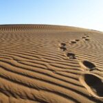 5 Day Desert Hiking Adventure From Merzouga Overview And Highlights