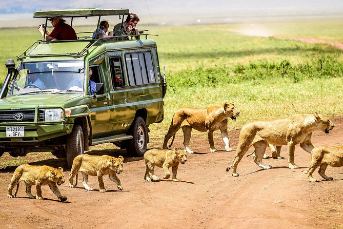 5 Days Tanzania Safari - Tarangire, Serengeti, Ngorongoro, and Lake Manyara - Overview of the Safari Tour