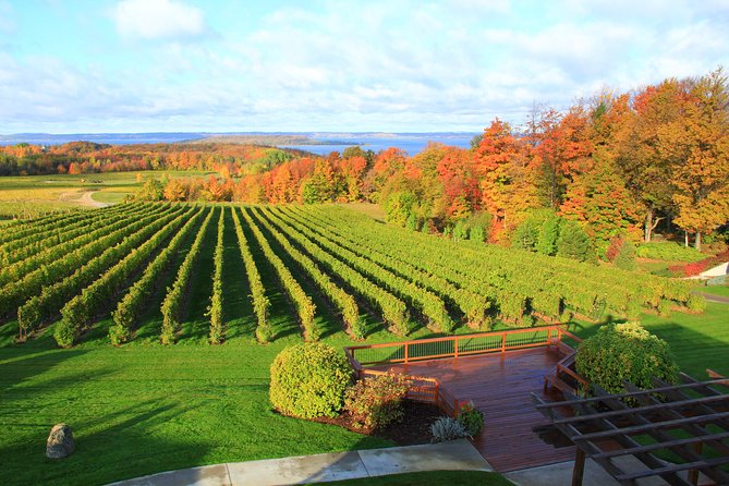 5-Hour Traverse City Wine Tour: 4 Wineries on Old Mission Peninsula - Wine Tasting Experiences