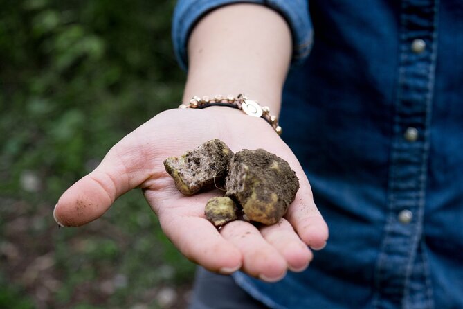 5 Hours Truffle Hunt Experience With Cooking Class - Cooking Class With Local Chef