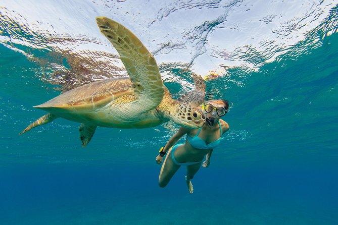 50 Luxury Yacht. Private Full or Half Day Catamaran Snorkel, & Beach Experience - Discovering the Beaches of St. Thomas