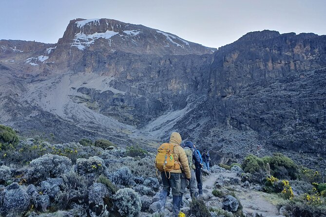 6 Days Climbing Mount Kilimanjaro Machame Route Included Services