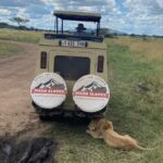 6 Days Tanzania Budget Camping Safari With Migration Tour Overview