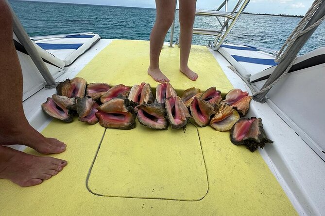 6hr Provo Cays Exploration With Lunch In Gracebay Exploring The Beaches And Reefs