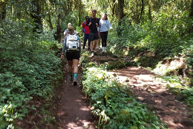 7-Day Mountain Climbing in Machame Route - Overview and Details