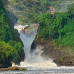 8 Day Murchison Falls, Chimp And Epic Gorilla Trekking Tour Highlights