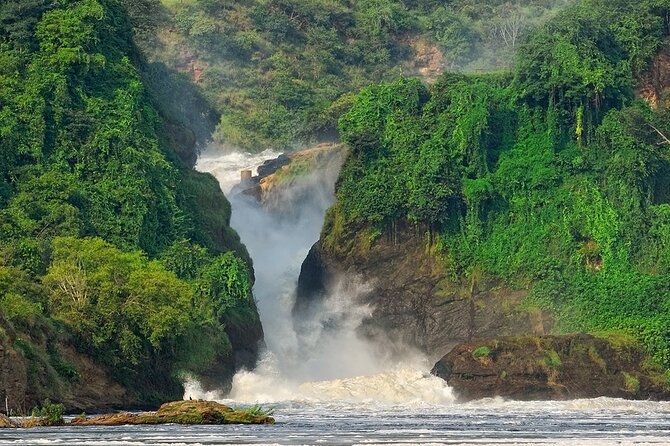 8-Day Murchison Falls, Chimp and Epic Gorilla Trekking - Tour Highlights