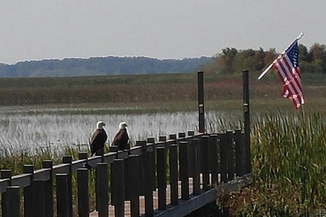 90 Minute Everglades Airboat Tour Near Orlando Florida - Tour Overview and Details