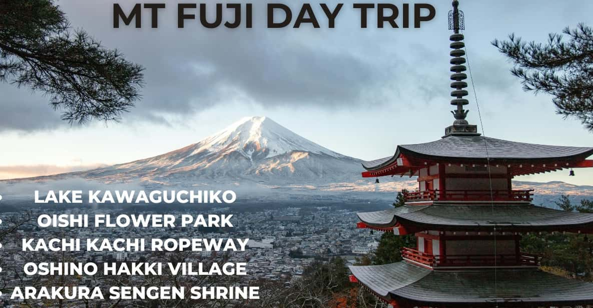 A Full Day Tour in a Private Car or Van of Mt Fuji - Tour Overview and Pricing