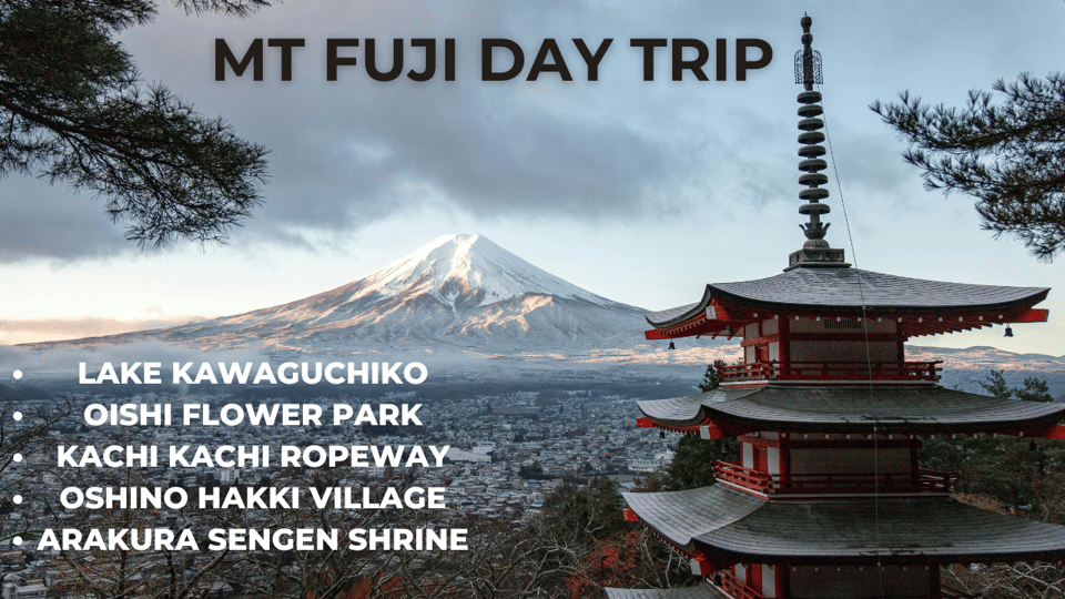 A Full Day Tour in a Private Car or Van of Mt Fuji - Experience and Activities