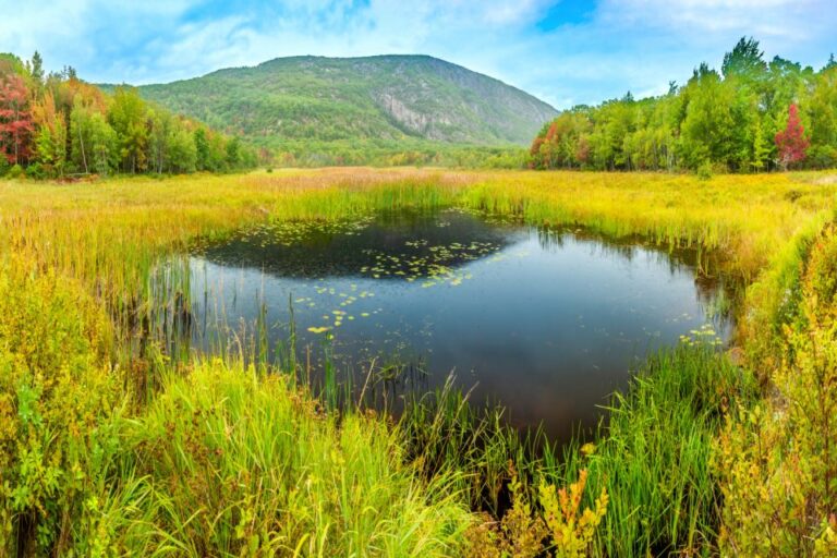 Acadia National Park Self Guided Driving Tour From Cadillac Tour Overview And Booking Details