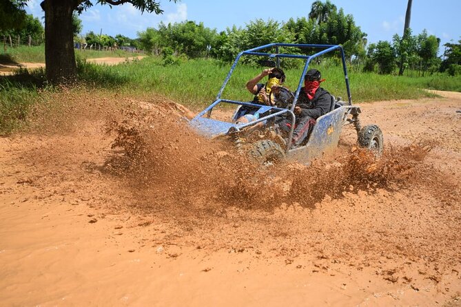 Adrenaline in Buggies for Half-Day Groups - Pricing and Booking