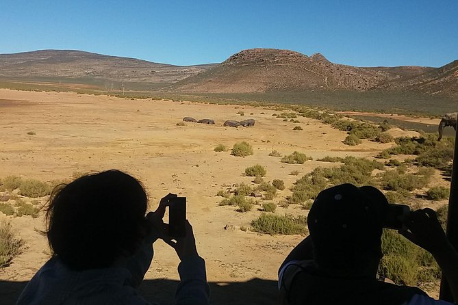 African Big 5 Full Day Safari Aquila Game Reserve From Cape Town - Tour Overview