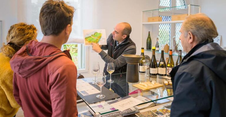 Afternoon Wine Tour In Touraine From Tours Or Amboise Overview Of The Wine Tour