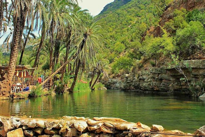 Agadir or Taghazout: Paradise Valley Excursion With Lunch - Overview of the Excursion