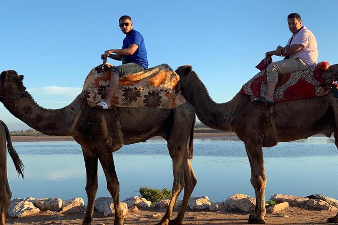 Agadir Sunset Camel Ride With Moroccan Barbecue & Hotel Transfers - Agadir Sunset Camel Ride