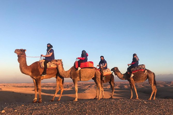 AGAFAY Historical Desert Dinner Sunset Camel Ride Hotel Transfer - Agafay Desert Dinner Experience