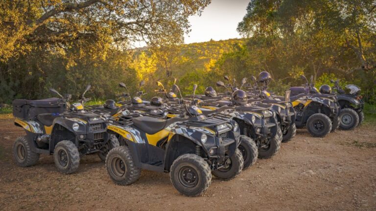 Albufeira: Off Road Quad Tour 90 Minutes Tour Overview