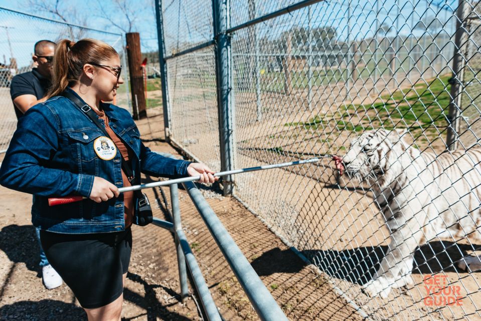 Alpine: Lions Tigers & Bears Sanctuary Visit and Feeding - Tour Overview