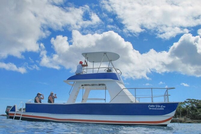 Amber Cove - Taino Bay VIP Party Boat and Snorkeling Tour - Pickup Information