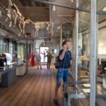 Amsterdam: Artis Groote Museum Entry Ticket Ticket Details And Pricing