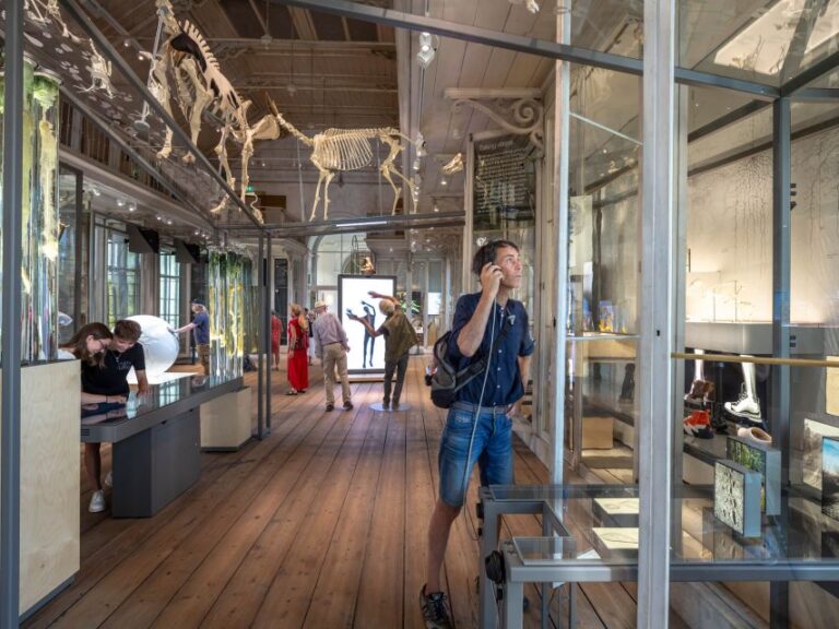 Amsterdam: Artis Groote Museum Entry Ticket Ticket Details And Pricing