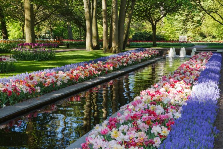 Amsterdam: Keukenhof Gardens Guided Tour Spanish And English Tour Overview