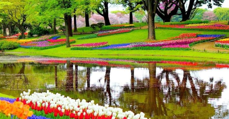 Amsterdam: Private Sightseeing Tour To Keukenhof Tour Overview