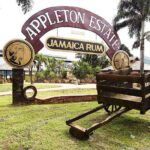 Appleton Estate Rum Tour And Tasting From Negril Tour Overview