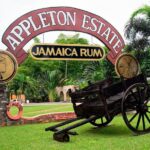 Appleton Estate Rum With Ys Falls And Black River Private Tour Exploring Jamaicas South Coast