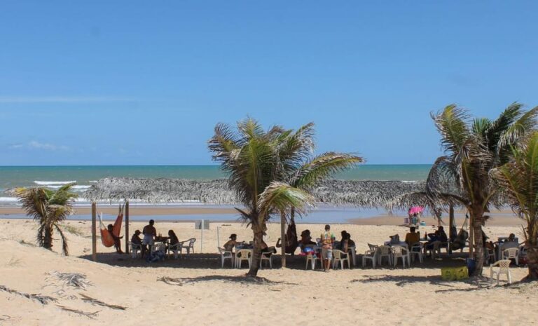 Aracaju: Tour To Saco Beach Tour Overview