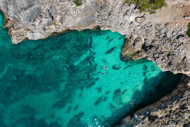 Arrábida: Guided Transparent Kayaking Tour - Tour Overview