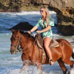 Aruba North Coastline: Small Group Horseback Riding Tour Overview Of The Tour