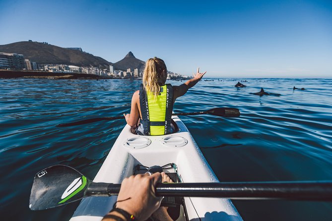 Atlantic Outlook Kayak Tour Cape Town Tour Overview