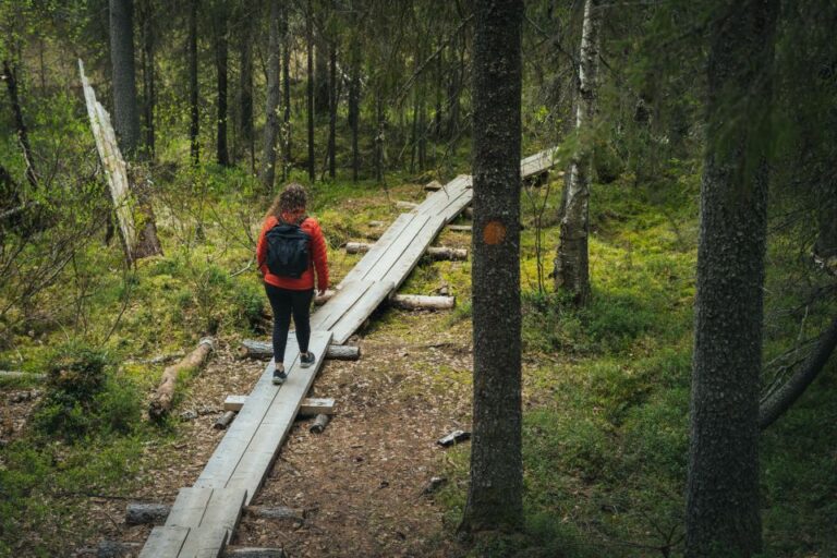 Auttiköngäs Hiking Experience Tour Overview