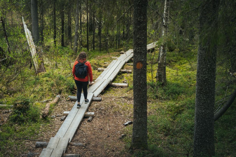 Auttiköngäs Hiking Experience - Tour Overview