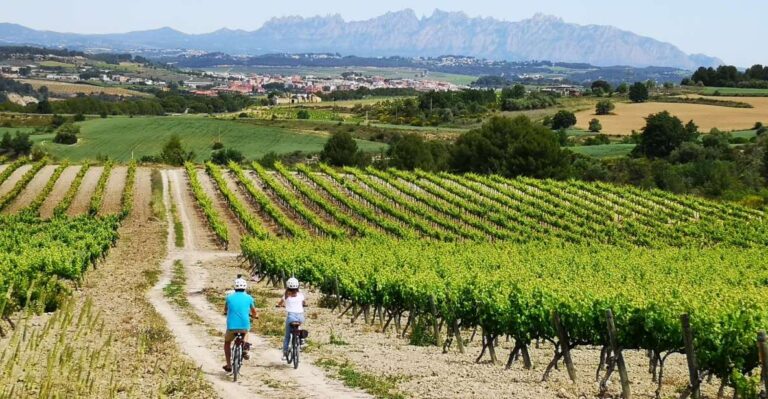 Barcelona: Guided Half Day Wine And Electric Bike Tour Tour Overview