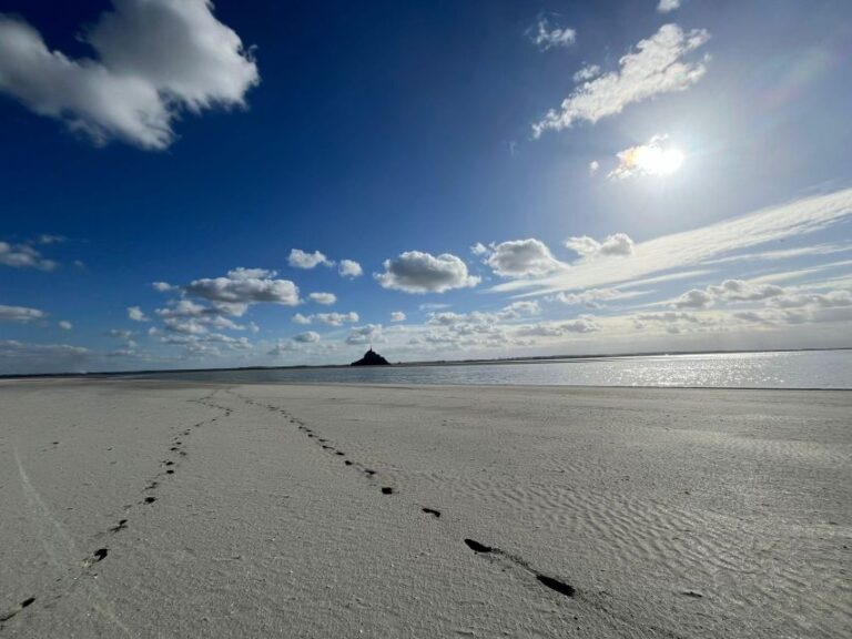 Bay Of Mont Saint Michel: Heading For Tombelaine Island Overview Of The Guided Tour