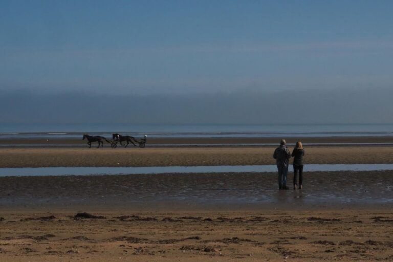 Bayeux: Full Day Excursion To The D Day Landing Beaches Tour Details